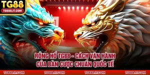 Rồng Hổ TG88 - Cách Vận Hành Của Bàn Cược Chuẩn Quốc Tế